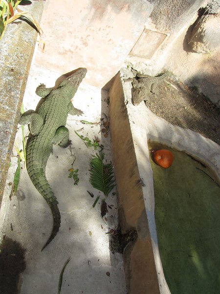 Florida Dec 2010 0140