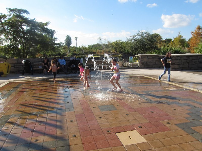 Florida Dec 2010 0142