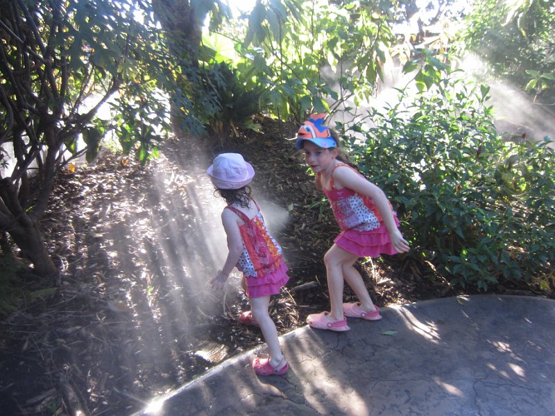 Florida Dec 2010 0147