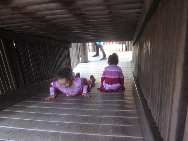 Florida Dec 2010 0158