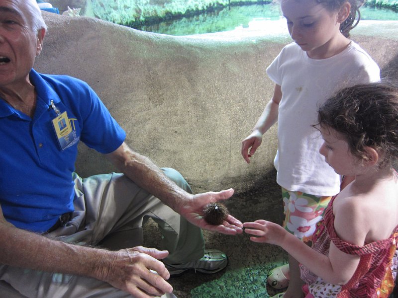 Florida Dec 2010 0208