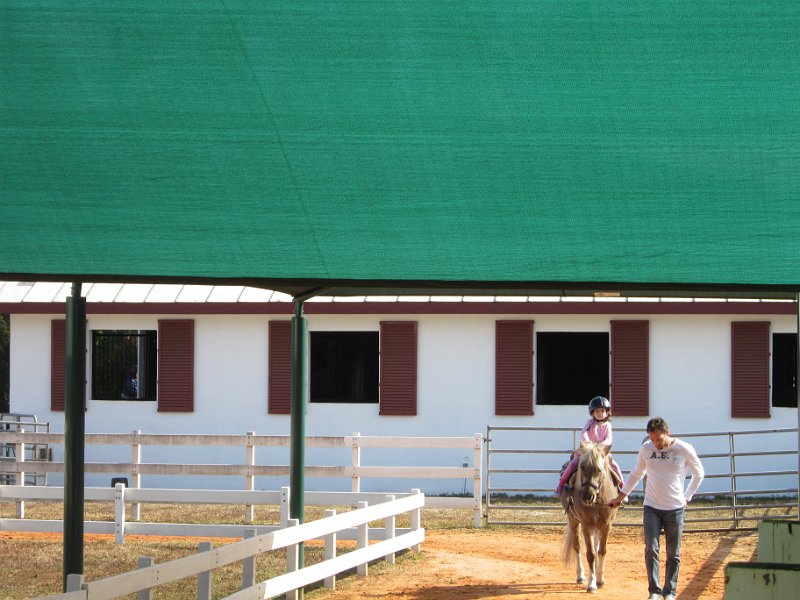 Florida Dec 2010 0216