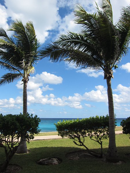 Mexico Dec 2010 0002