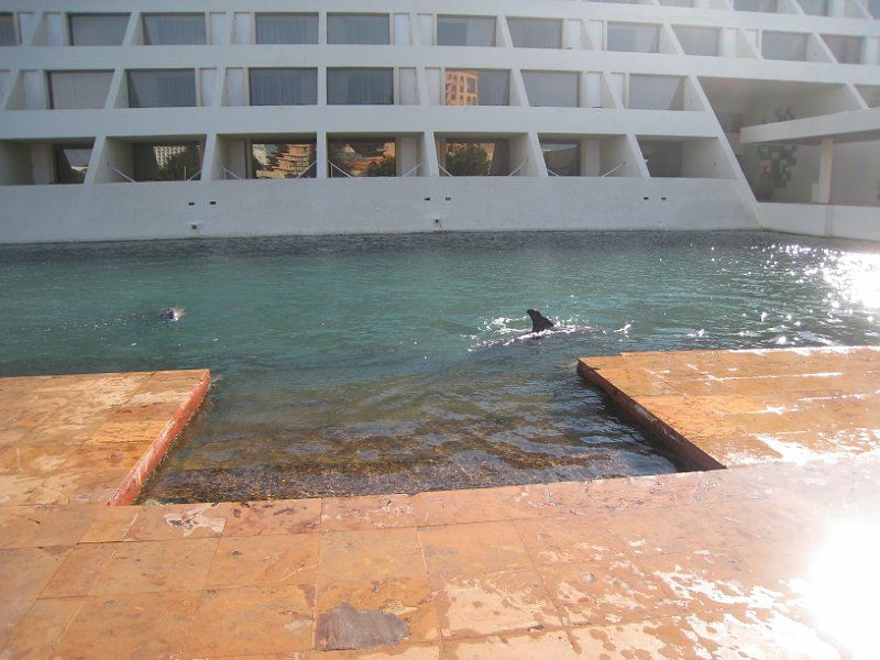 Mexico 2010 0046