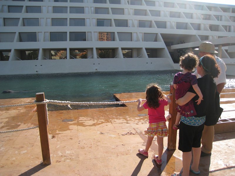 Mexico 2010 0047