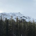 Banff Apr2011 0038