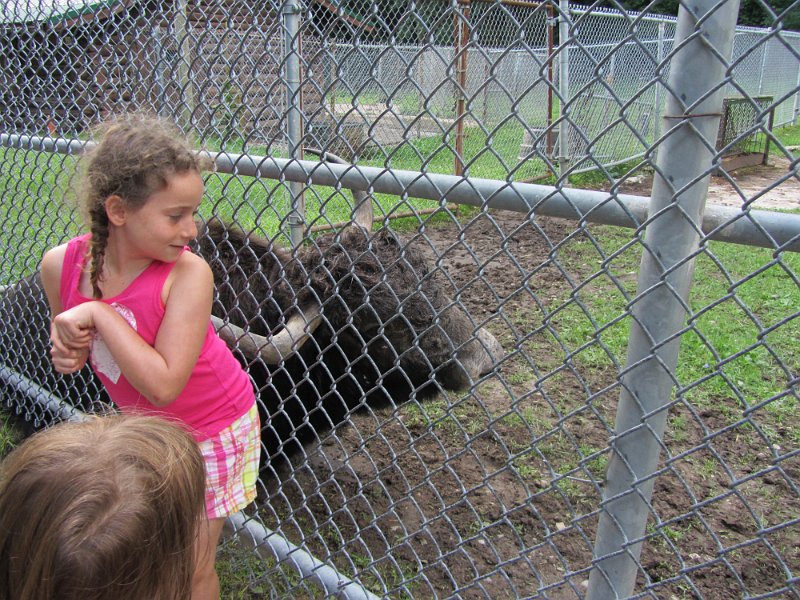 Toronto Aug2011 0077