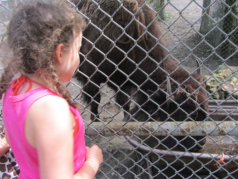 Toronto Aug2011 0078