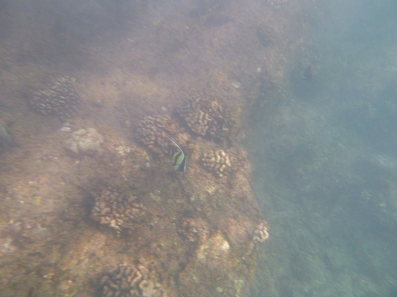 Hawaii Dec2012 0290