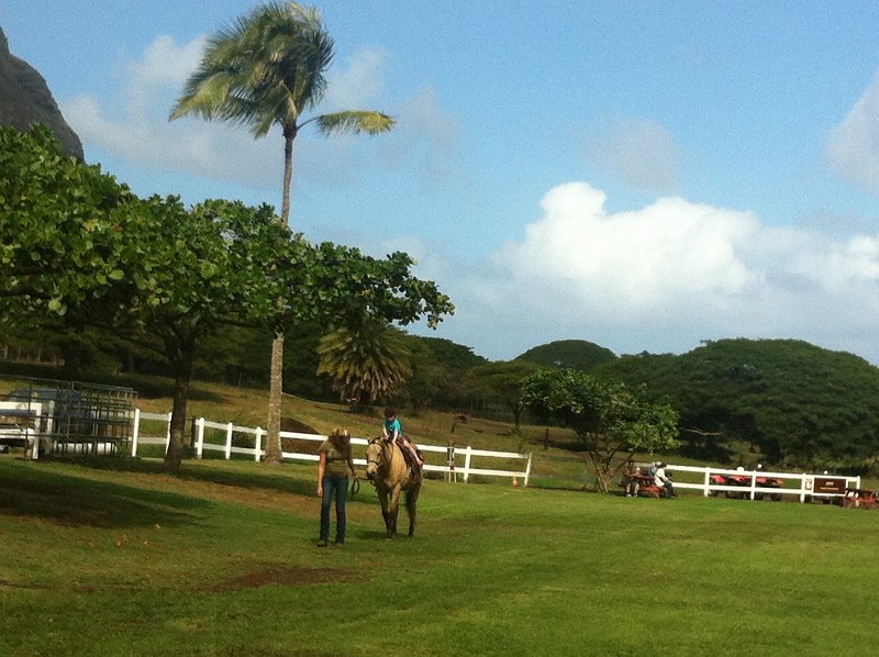 Hawaii Dec2012 0572