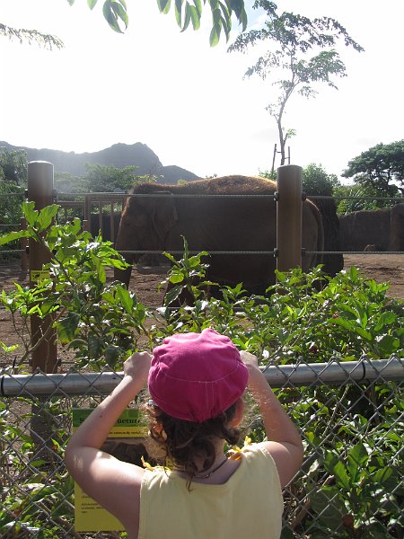 Hawaii Dec2012 0757