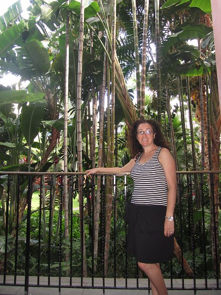 Hawaii Dec2012 0809
