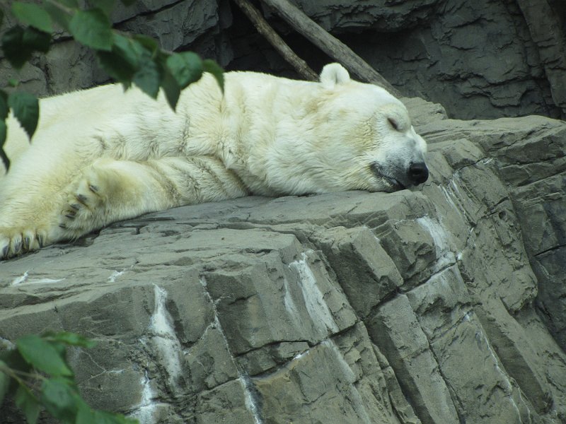 New York 30July2012 0023