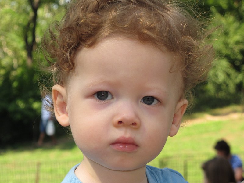 New York 30July2012 0025