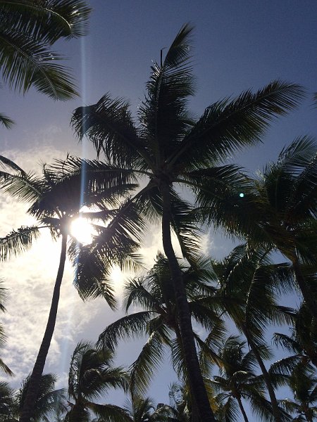 Club Med Punta Cana Dec2013 0150