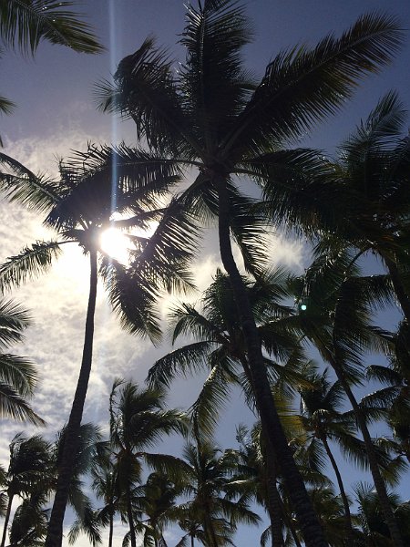 Club Med Punta Cana Dec2013 0151