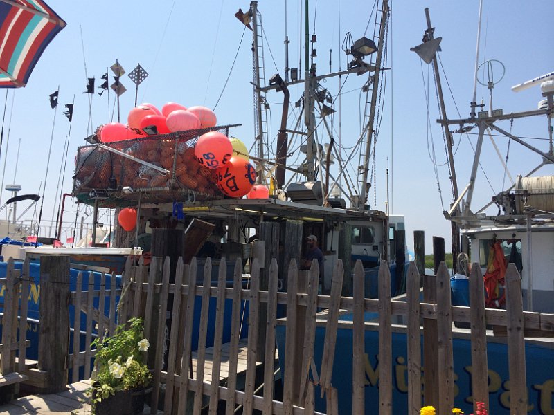 Jersey Shore July Aug 2014 0237