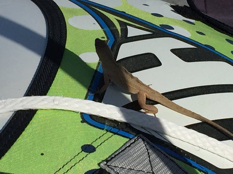 Club Med Sandpiper Apr2015 0130