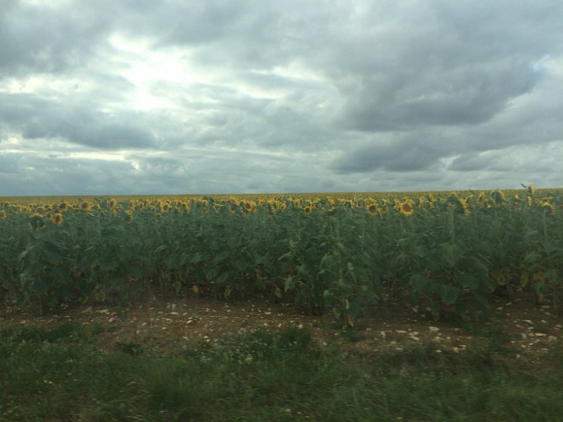 France 2015 0671