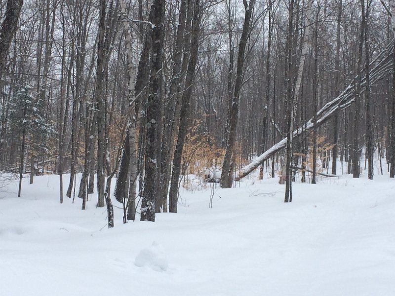 Tremblant Mar2015 0019
