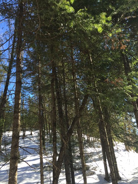 Tremblant Mar2015 0090