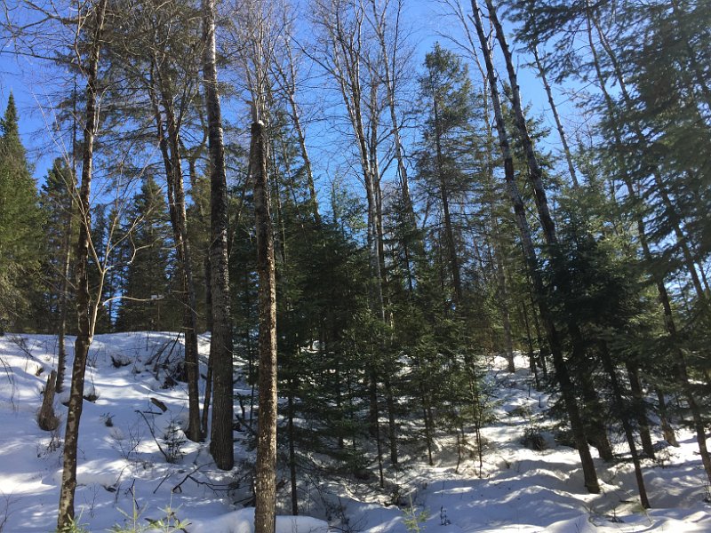 Tremblant Mar2015 0092