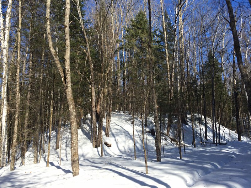 Tremblant Mar2015 0094