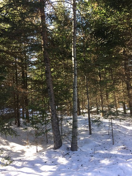 Tremblant Mar2015 0099