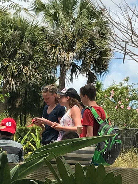 Club Med Sandpiper Apr2017 0073