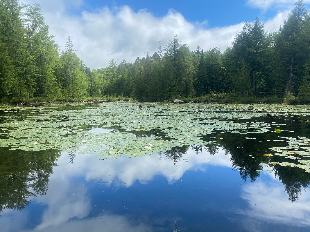 Cottage_July2020_0031