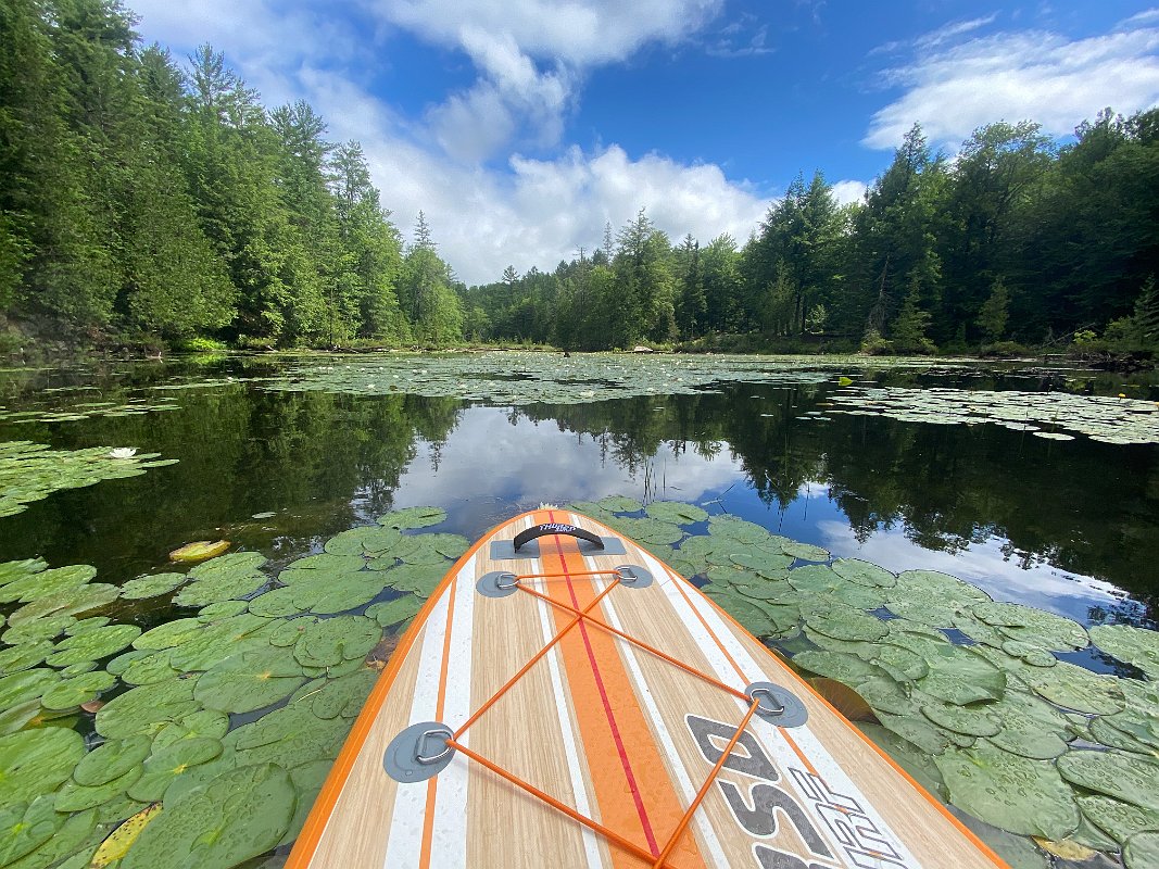 Cottage_July2020_0035