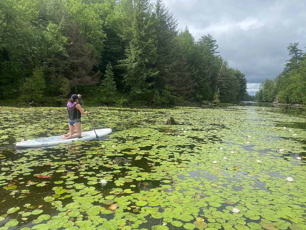 Cottage_July2020_0039