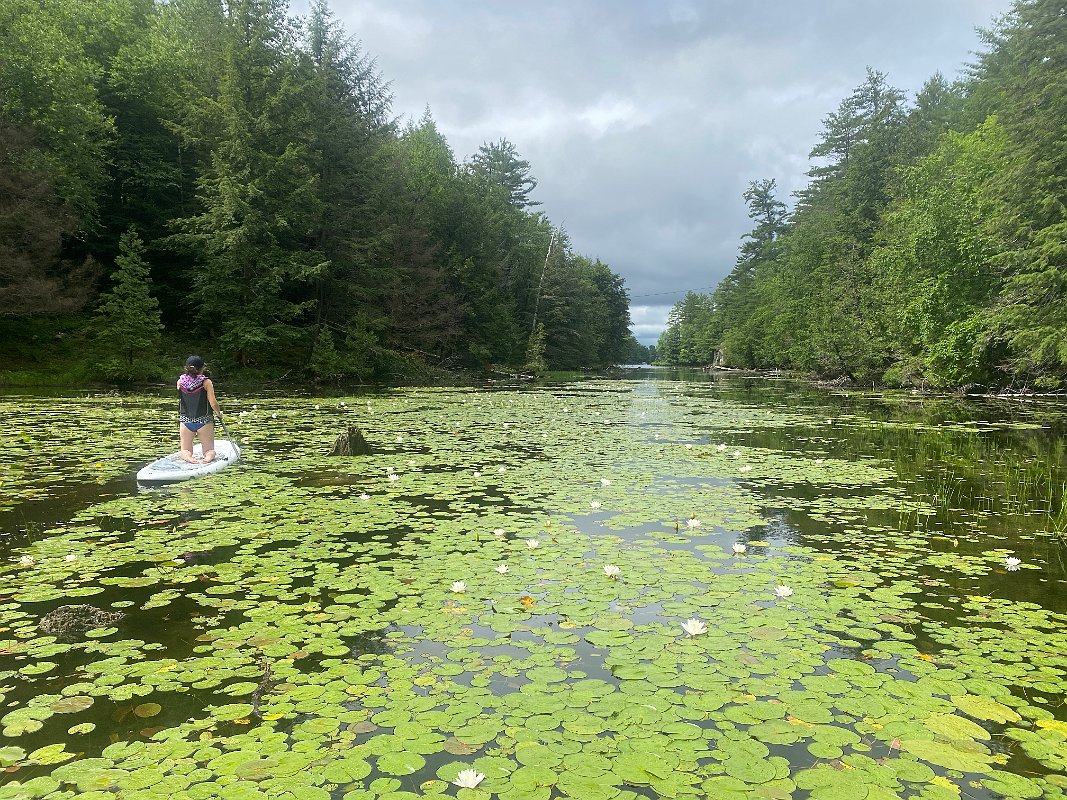 Cottage_July2020_0040