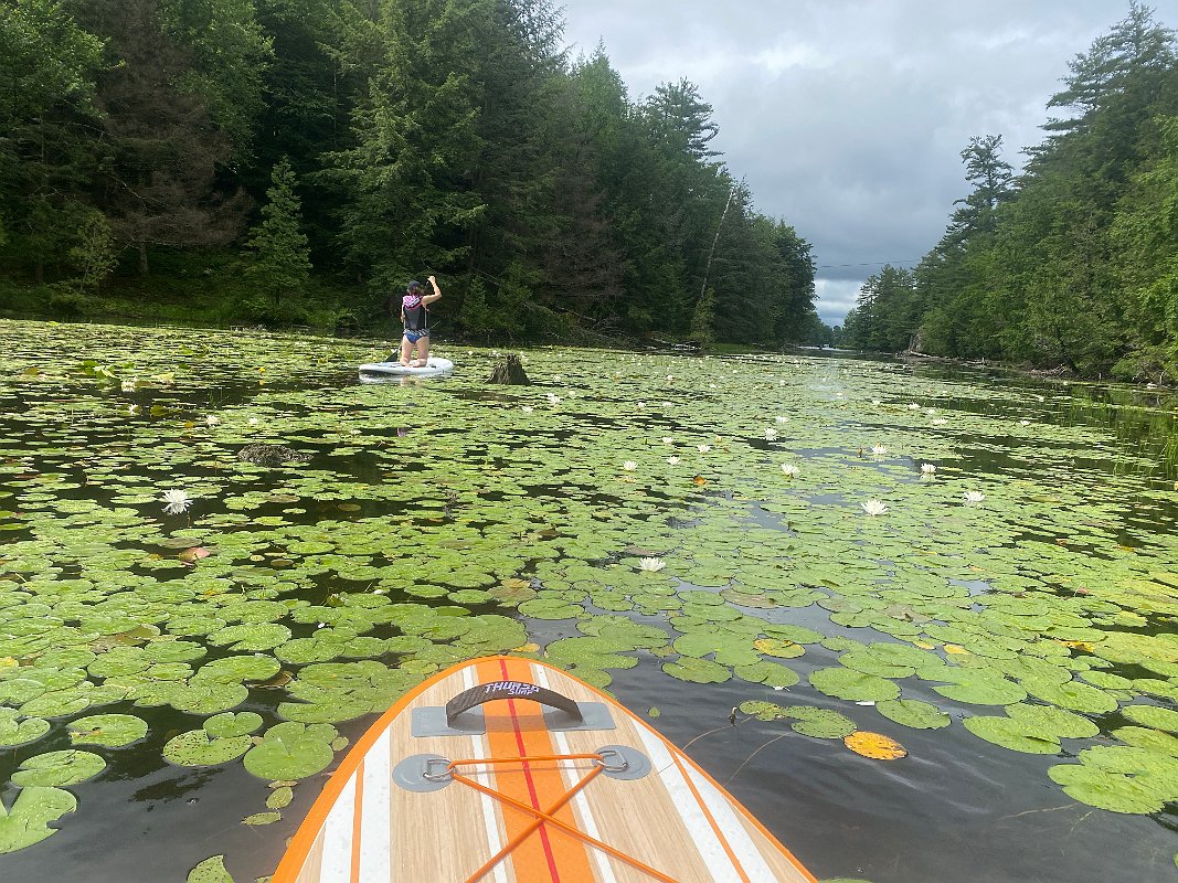 Cottage_July2020_0041