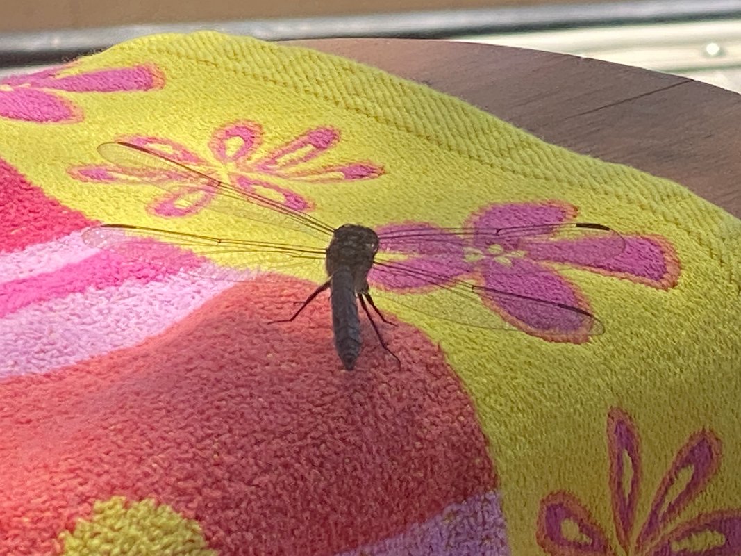 Cottage_July2020_0135