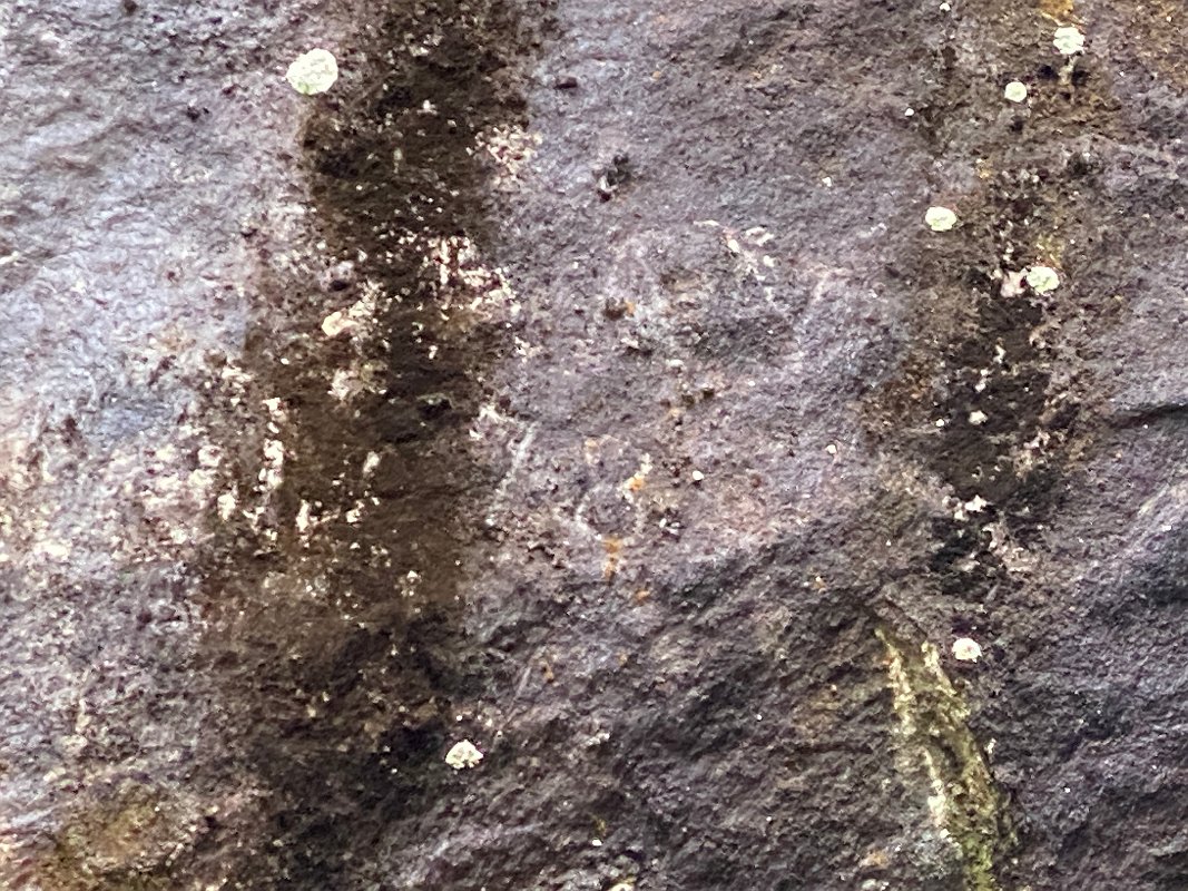 Cottage_July2020_0190