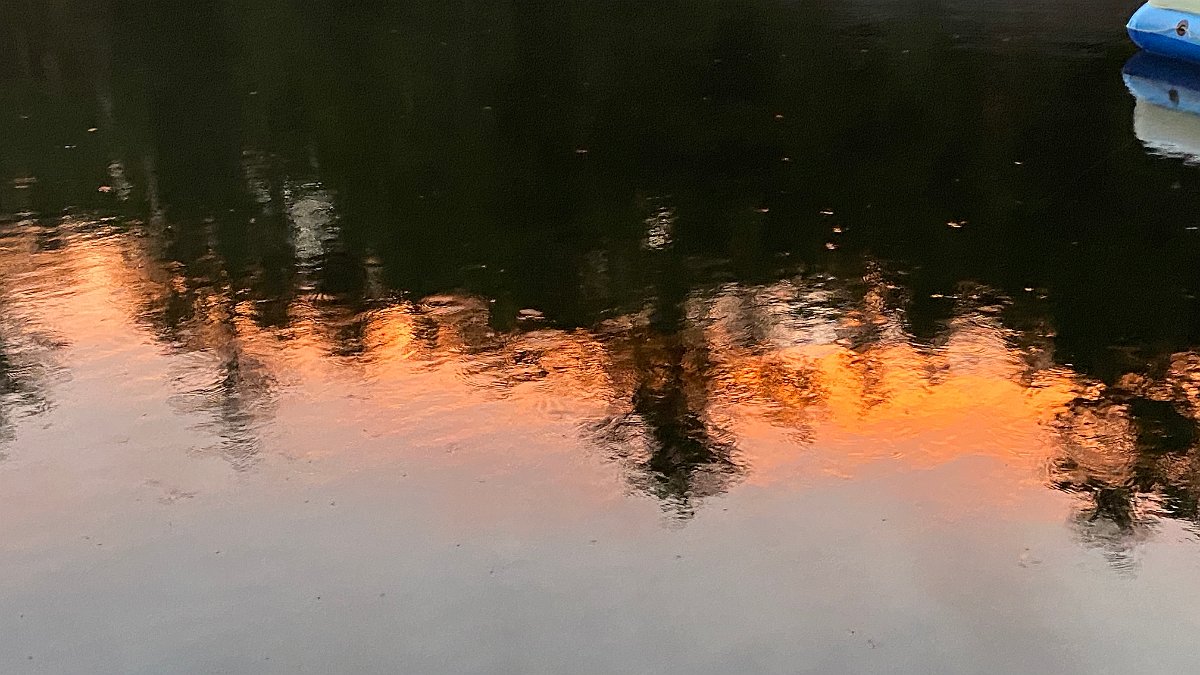 Cottage_July2020_0195