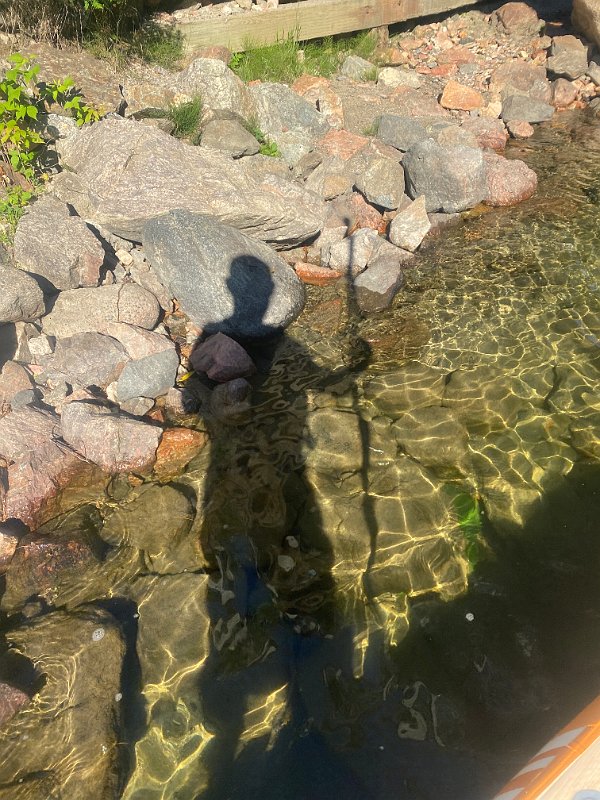 Cottage_July2020_0202