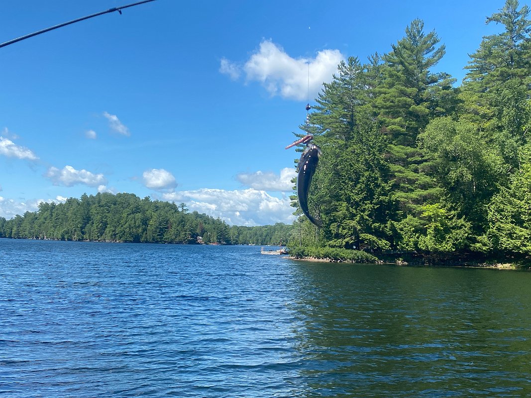 Cottage_July2020_0207