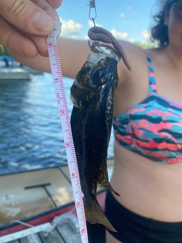 Cottage_July2020_0210