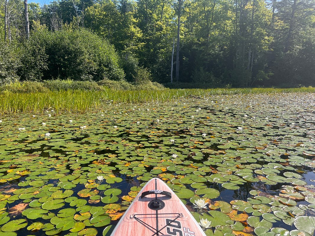 Cottage_Aug2022 (60)