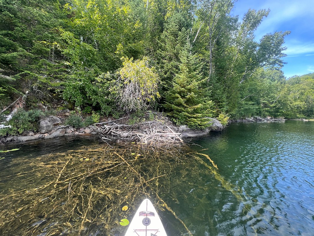 Cottage_Aug2022 (97)