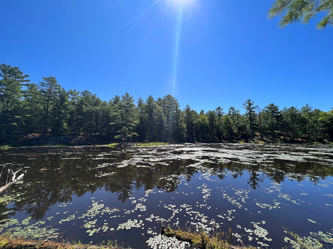 Muskoka_Aug2022 (108)