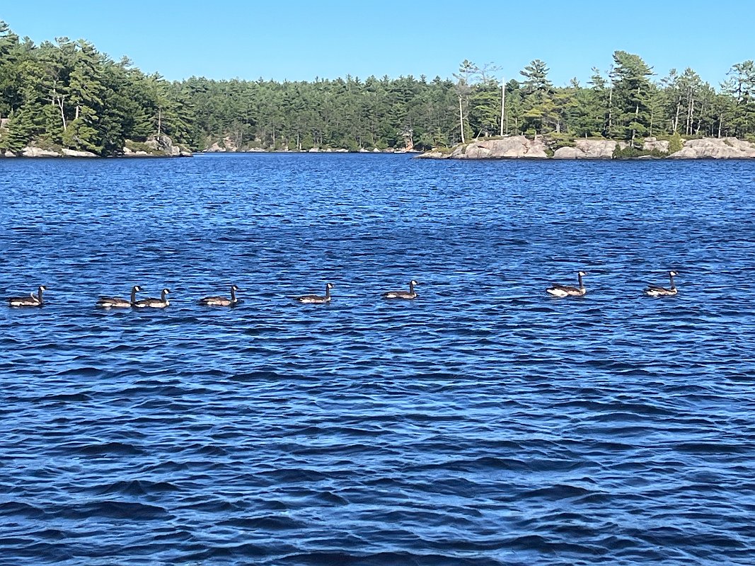 Muskoka_Aug2022 (119)