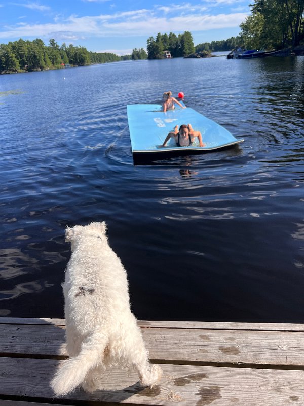 Muskoka_Aug2022 (3)