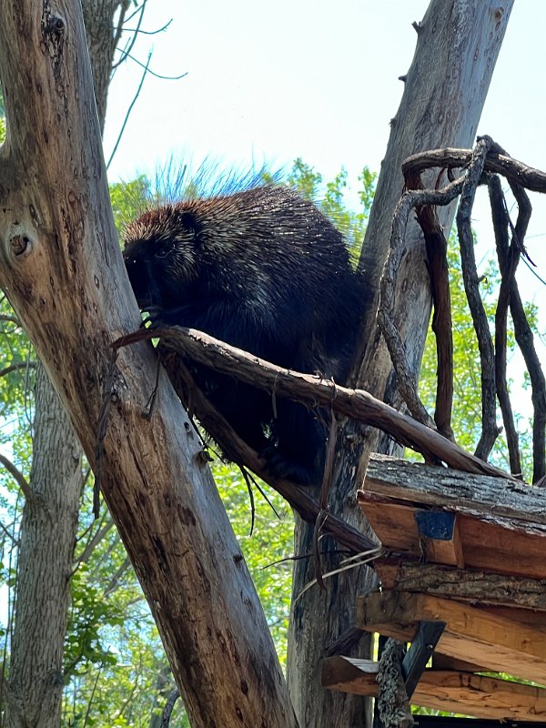 Zoo_Ecomuseum_Jun2022 (14)