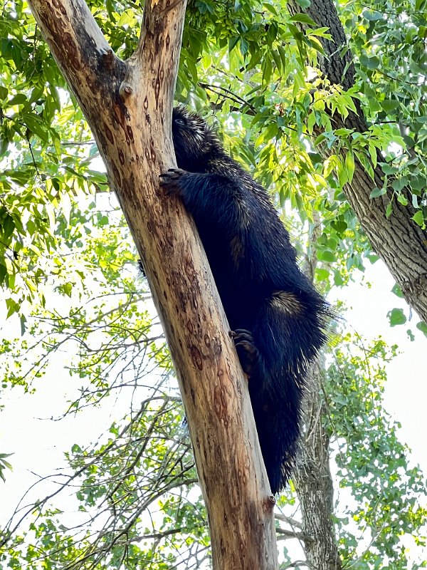 Zoo_Ecomuseum_Jun2022 (16)