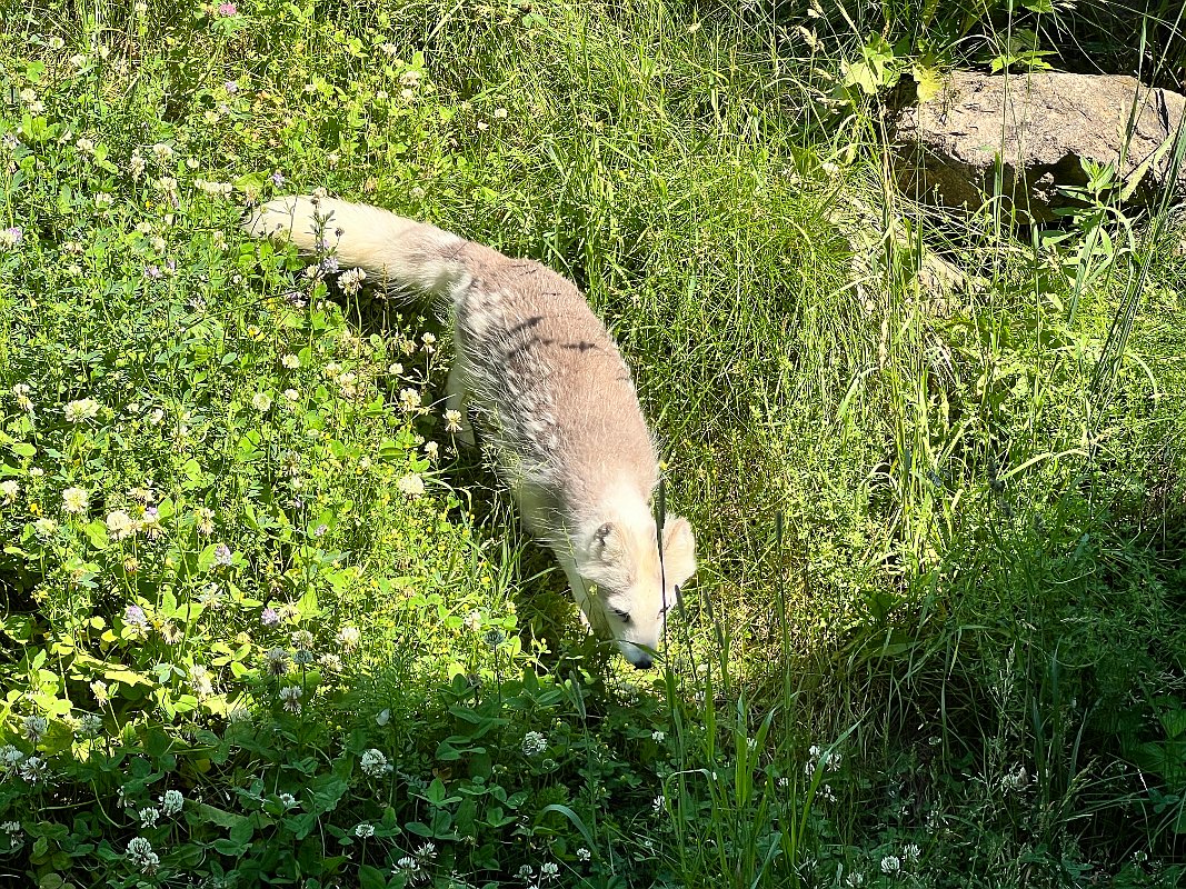 Zoo_Ecomuseum_Jun2022 (2)