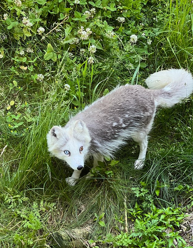 Zoo_Ecomuseum_Jun2022 (3)