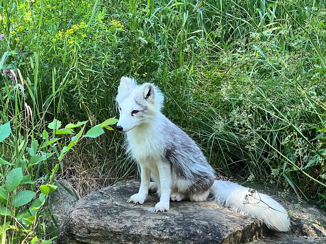 Zoo_Ecomuseum_Jun2022 (6)